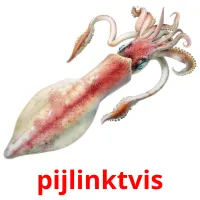 pijlinktvis ansichtkaarten