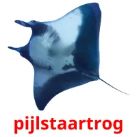 pijlstaartrog ansichtkaarten