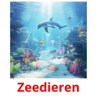 Zeedieren ansichtkaarten