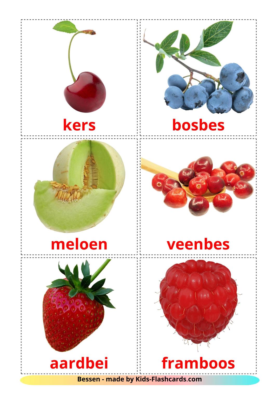 Frutti di bosco - 11 flashcards olandese stampabili gratuitamente