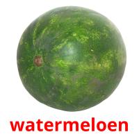 watermeloen flashcards illustrate