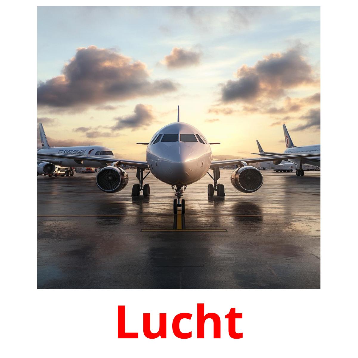 Lucht flashcards illustrate