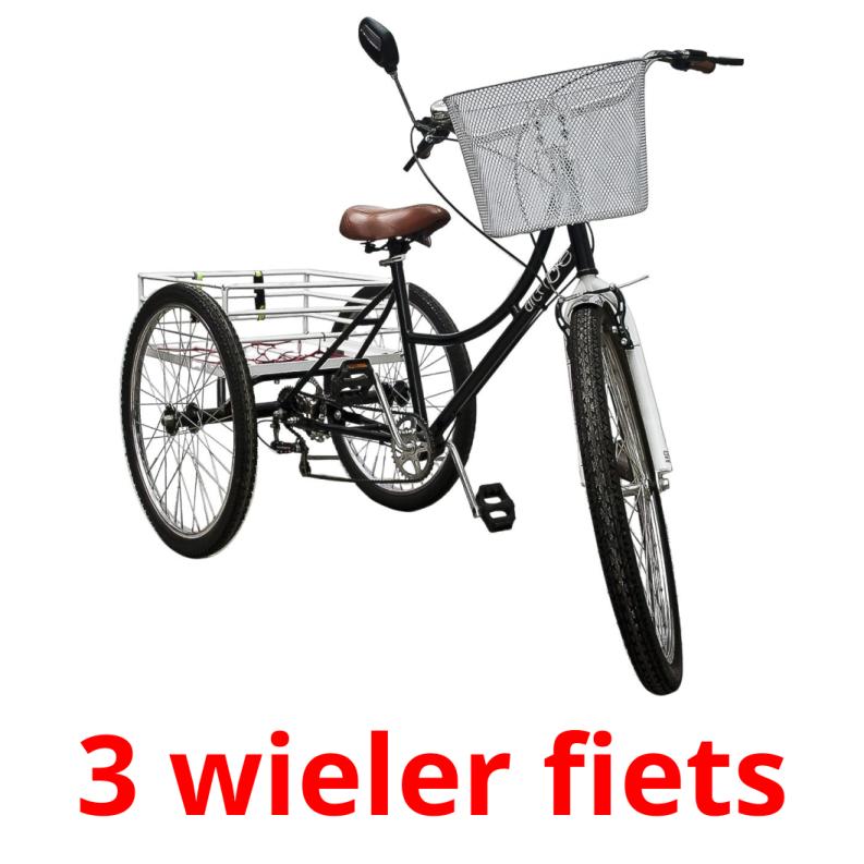 3 wieler fiets picture flashcards