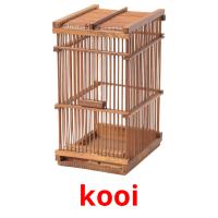kooi card for translate