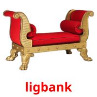 ligbank picture flashcards