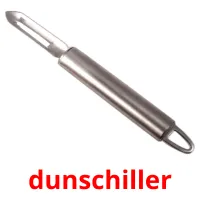 dunschiller карточки энциклопедических знаний