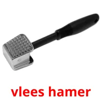 vlees hamer карточки энциклопедических знаний