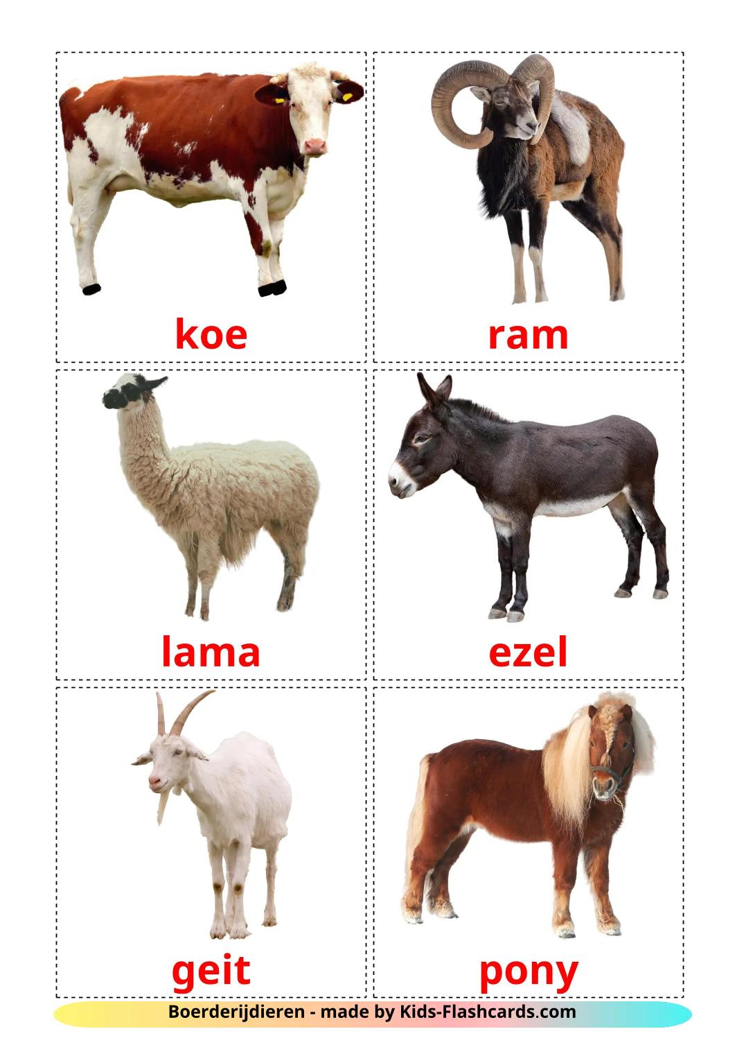 Les Animaux de la Ferme - 16 Flashcards néerlandais imprimables gratuitement