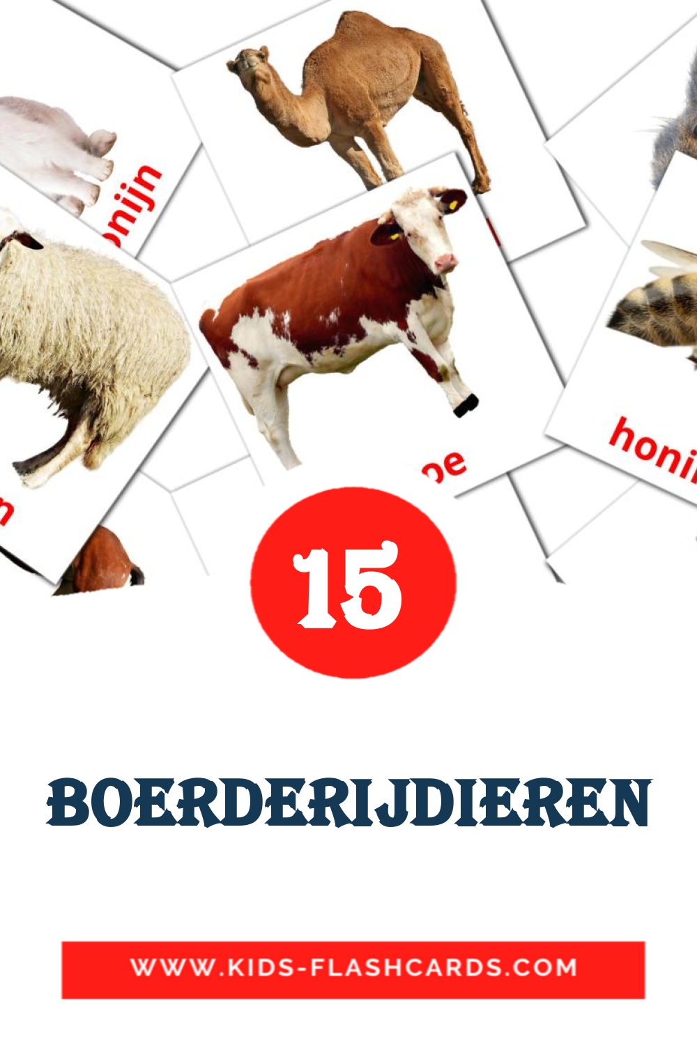 15 Boerderijdieren Picture Cards for Kindergarden in dutch