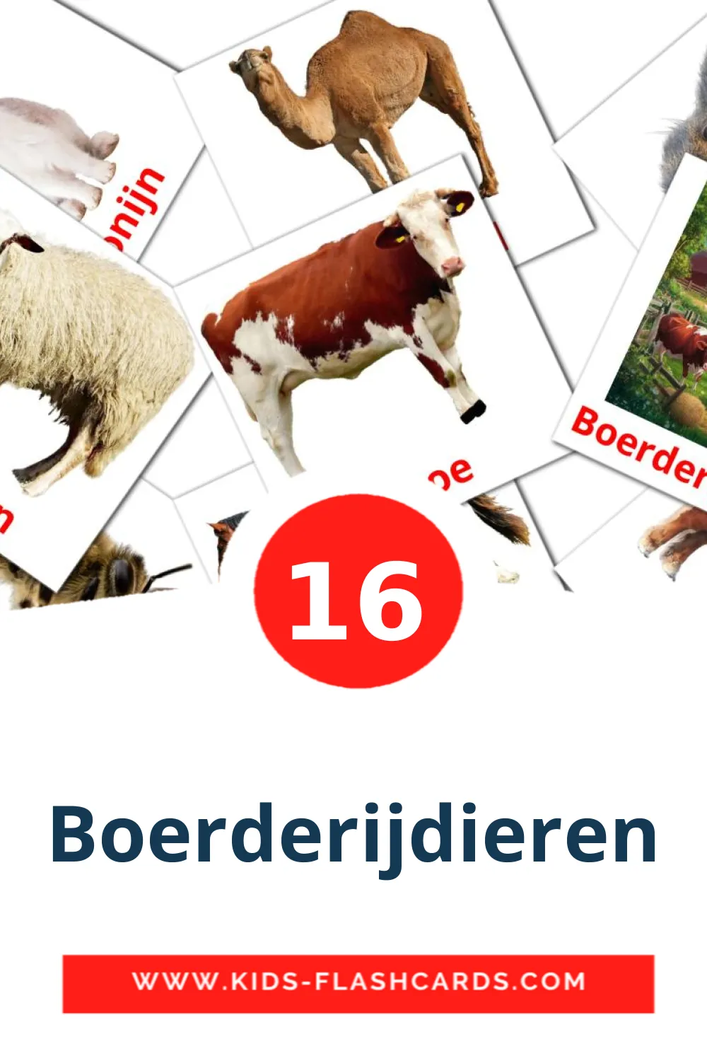 16 cartes illustrées de Boerderijdieren pour la maternelle en néerlandais