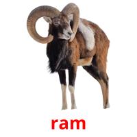 ram card for translate