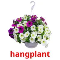 hangplant ansichtkaarten