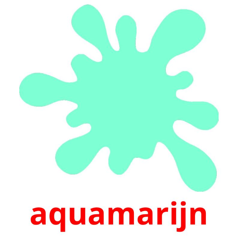 aquamarijn picture flashcards