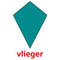 vlieger card for translate