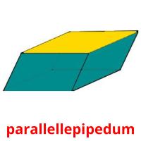 parallellepipedum Bildkarteikarten