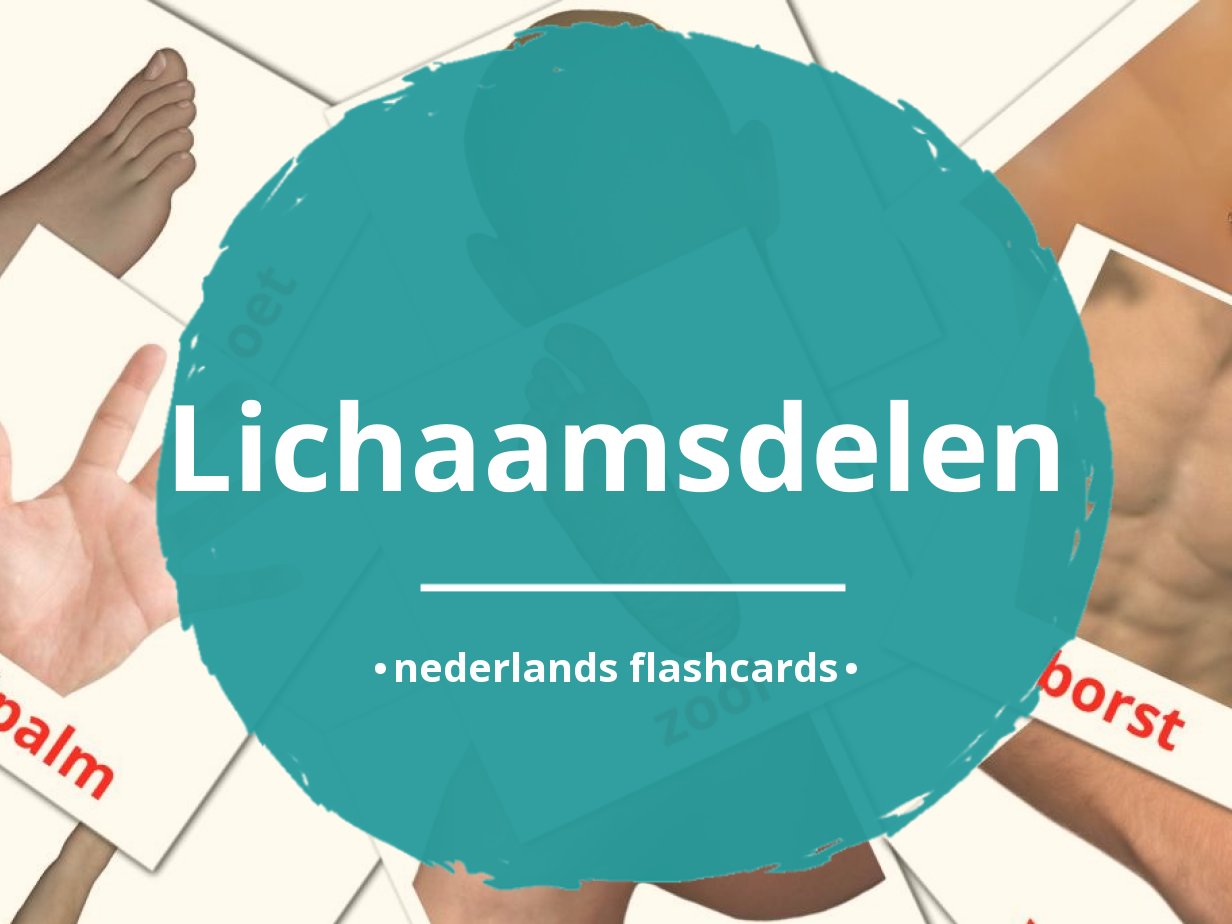 26 GRATIS Lichaamsdelen Flashcards In 4 PDF Formaten | Nederlands ...