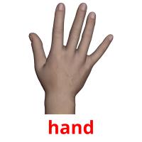 hand picture flashcards