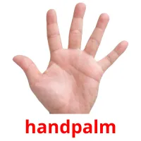 handpalm ansichtkaarten