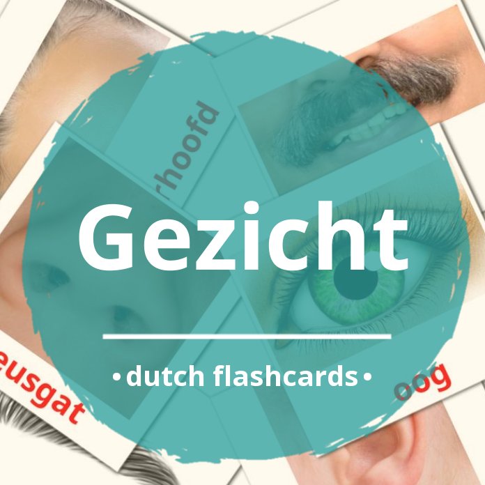 20 free face flashcards in dutch pdf files excel