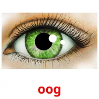 oog Bildkarteikarten