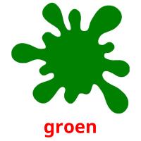 groen picture flashcards