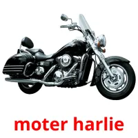 moter harlie карточки энциклопедических знаний