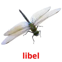 libel Bildkarteikarten