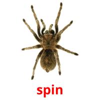 spin picture flashcards