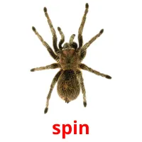 spin Bildkarteikarten