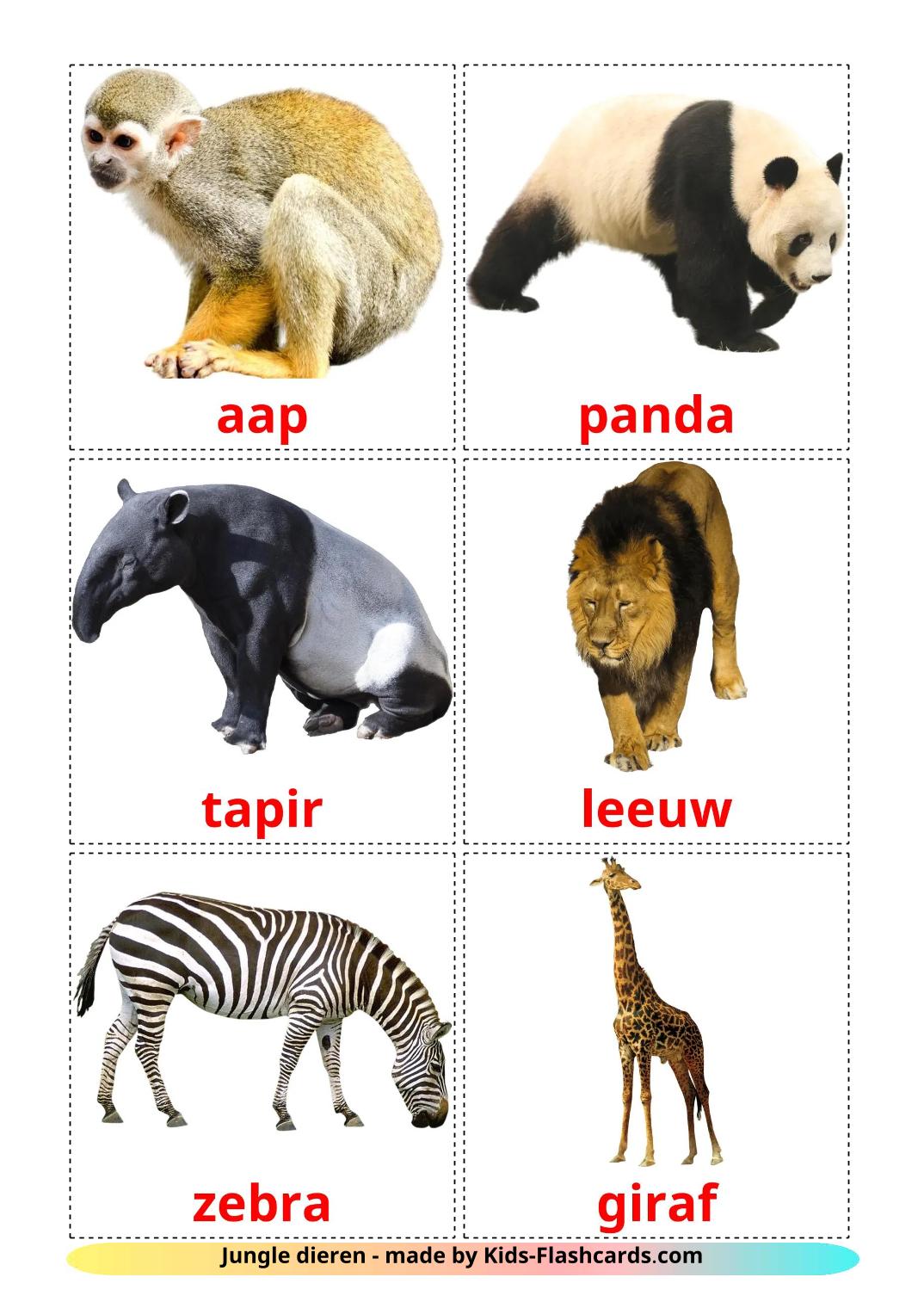 Les Animaux de la Jungle - 22 Flashcards néerlandais imprimables gratuitement