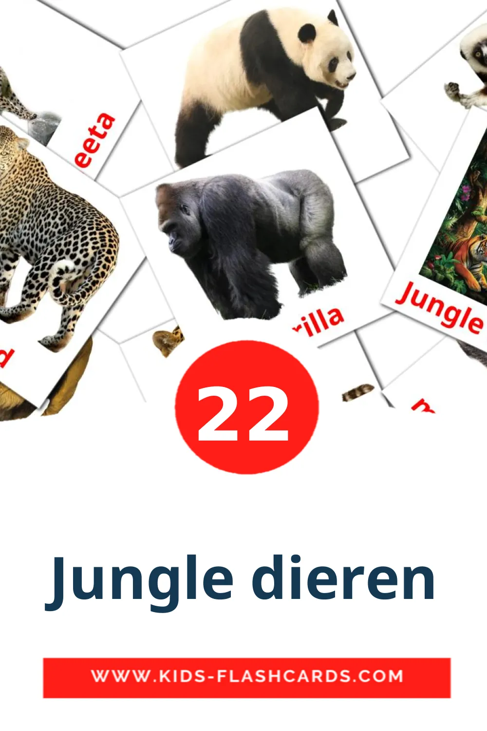 22 cartes illustrées de Jungle dieren pour la maternelle en néerlandais