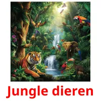 Jungle dieren cartes flash