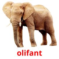 olifant picture flashcards