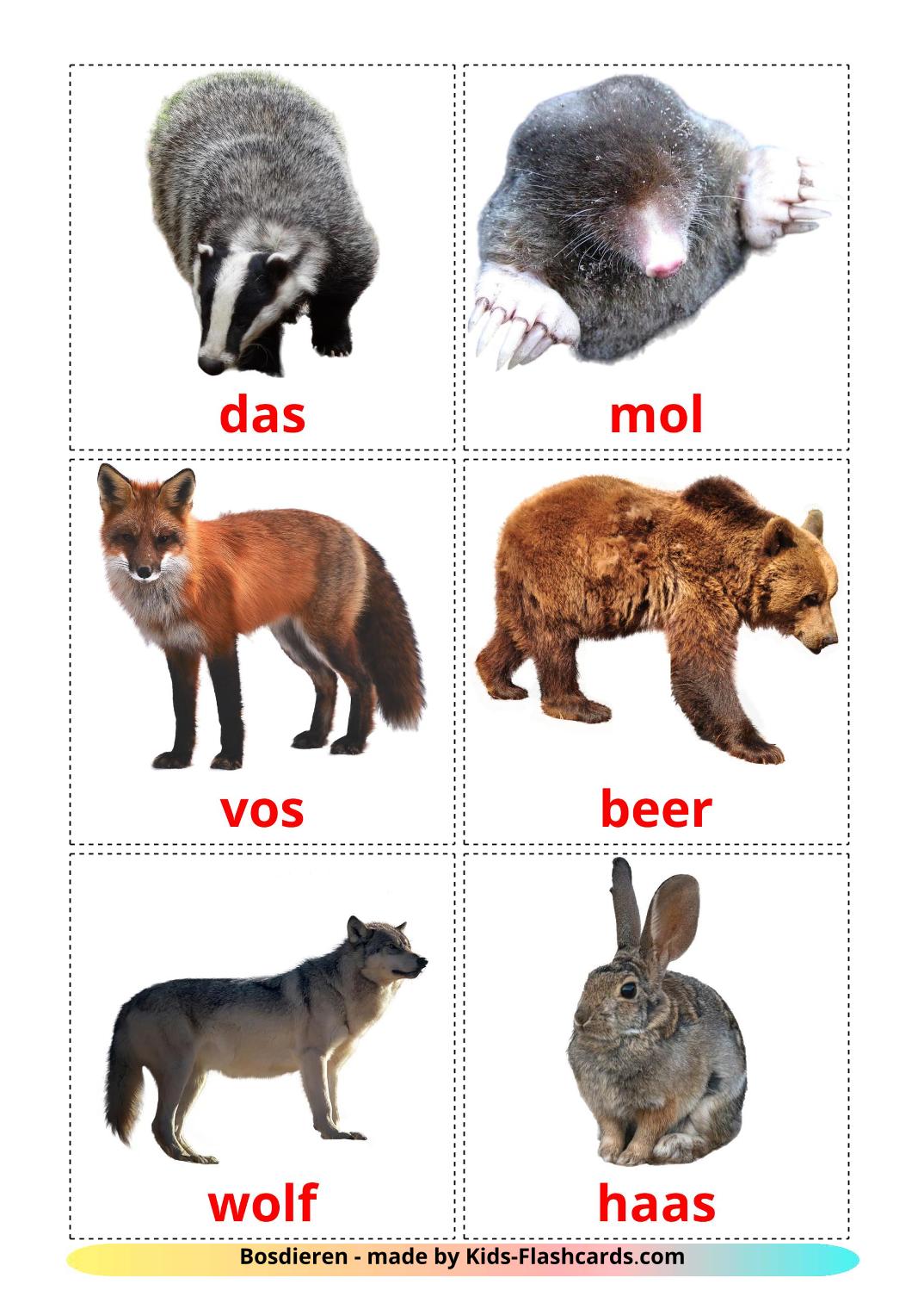 Animali della foresta - 22 flashcards olandese stampabili gratuitamente
