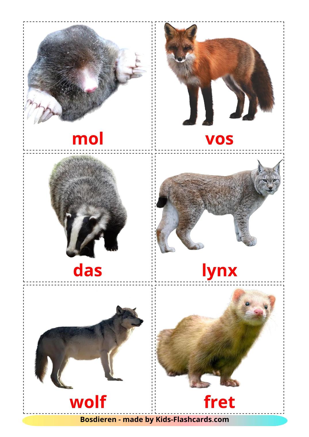 Les Animaux de la Forêt - 23 Flashcards néerlandais imprimables gratuitement