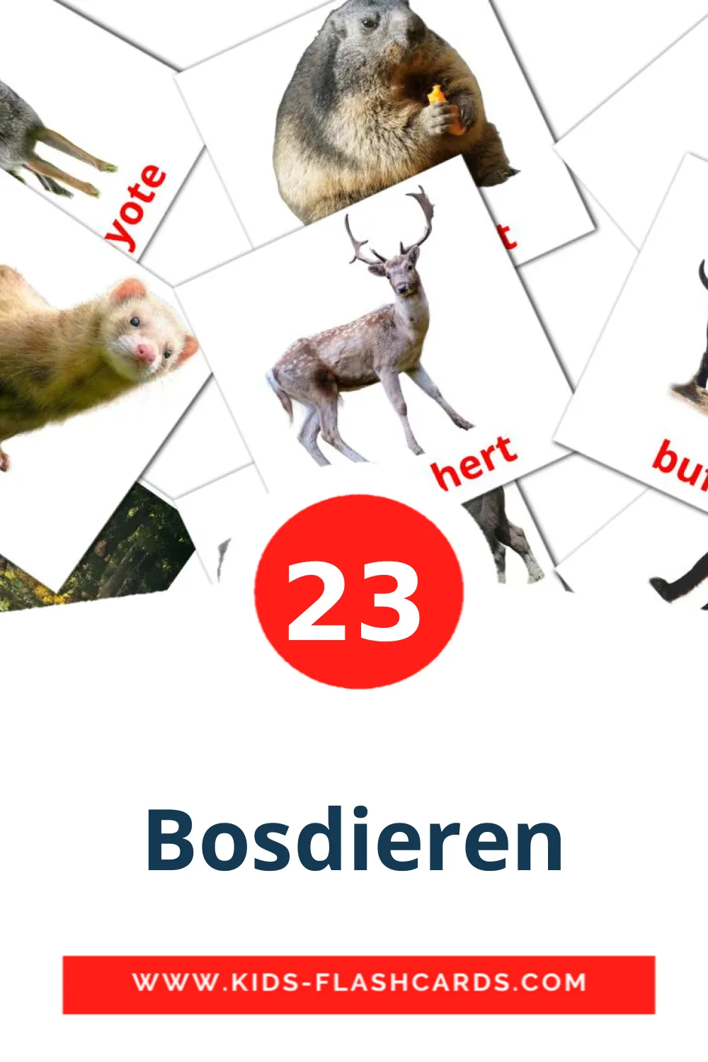 23 cartes illustrées de Bosdieren pour la maternelle en néerlandais