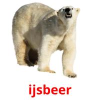 ijsbeer card for translate