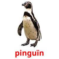 pinguïn picture flashcards