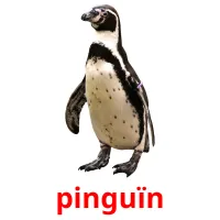 pinguïn ansichtkaarten