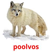 poolvos card for translate