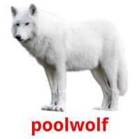poolwolf picture flashcards