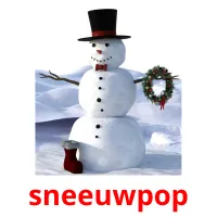 sneeuwpop flashcards illustrate