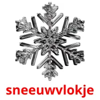 sneeuwvlokje flashcards illustrate