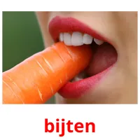 bijten flashcards illustrate