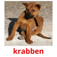 krabben card for translate