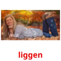 liggen flashcards illustrate