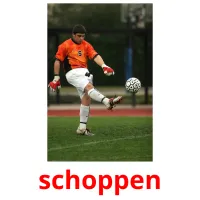 schoppen flashcards illustrate