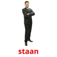 staan flashcards illustrate