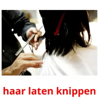 haar laten knippen ansichtkaarten