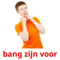 bang zijn voor Bildkarteikarten